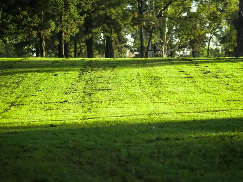 Espacios verdes - parque
